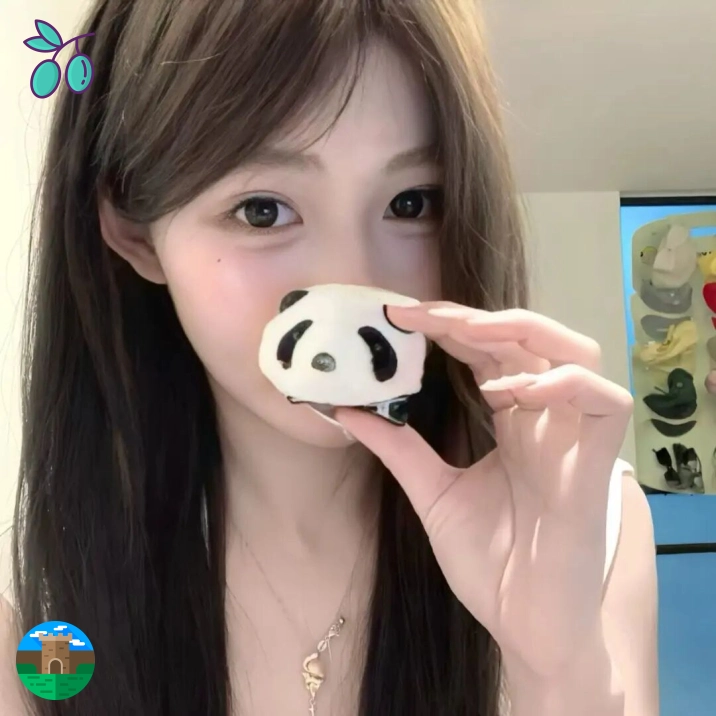 南城用户